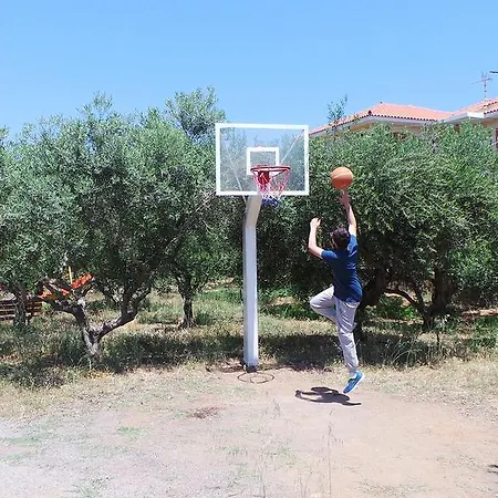 Zachos *